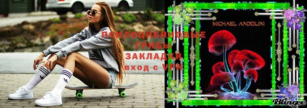 стафф Дмитриев