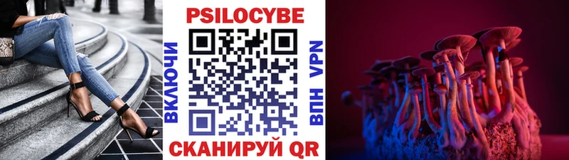 Псилоцибиновые грибы Psilocybine cubensis  Зубцов 